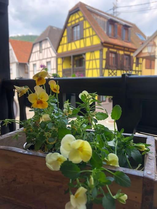 Gite „La Maison Des Epices“ Kintzheim Eksteriør billede